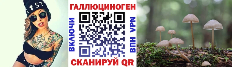купить закладку  Алзамай  Псилоцибиновые грибы Magic Shrooms 