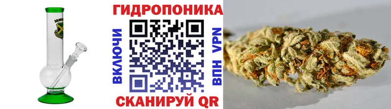 где можно купить наркотик  Алзамай  Конопля AK-47 